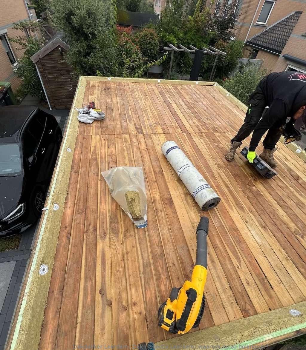 Dak Inspectie Leerdam