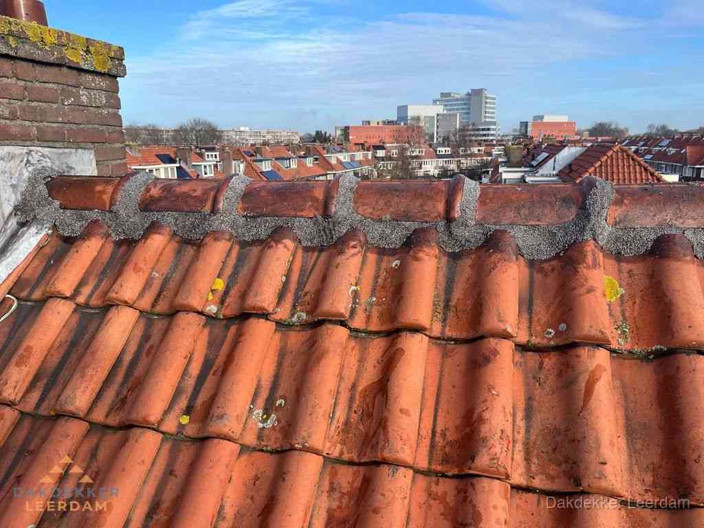 Nieuw bitumen plat dak met uitzicht over woonwijk in Leerdam