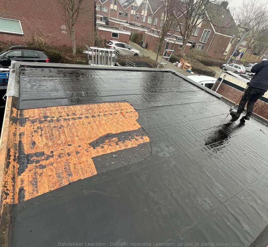 Dakleer Reparatie Leerdam