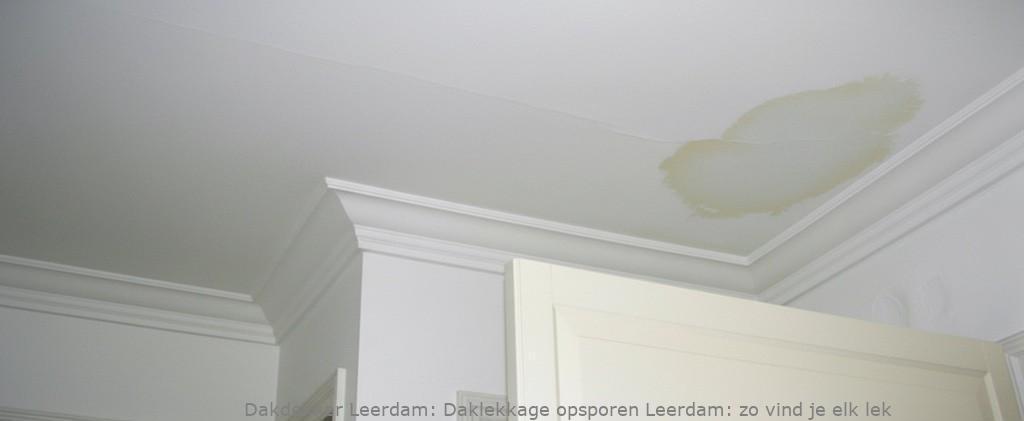 Daklekkage opsporen Leerdam: zo vind je elk lek