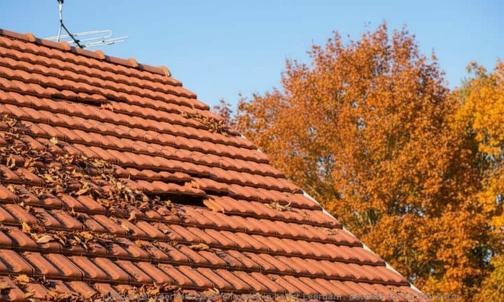 Dakrenovatie in herfst Leerdam: Bespaar tot €2.500 extra