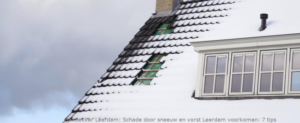 Schade Door Sneeuw En Vorst Leerdam