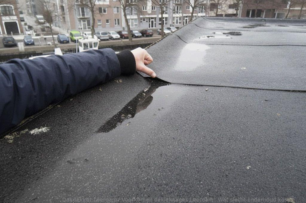 Voorkomen Daklekkages Leerdam